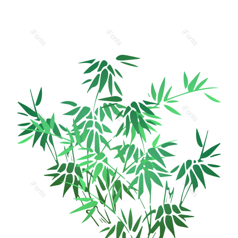叶子图片,竹叶元素,春天PNG,插画素材免抠素材